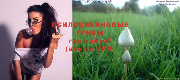 прущие грибы Карталы