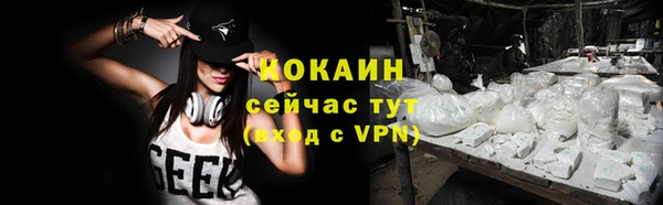 прущие грибы Карталы