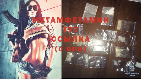 прущие грибы Карталы