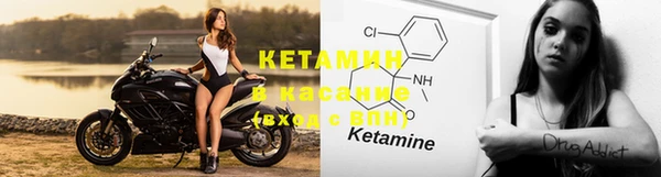 прущие грибы Карталы