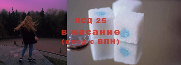 прущие грибы Карталы