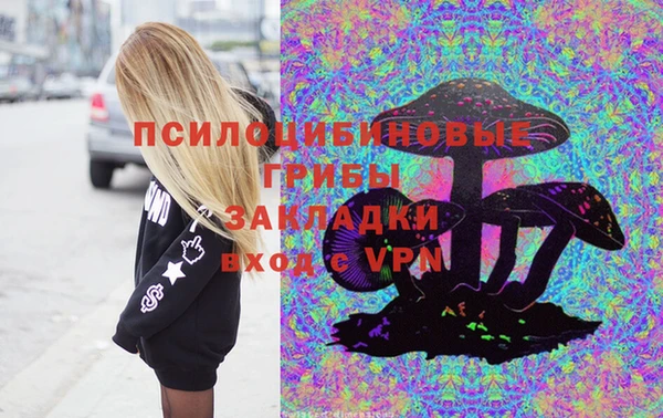 прущие грибы Карталы