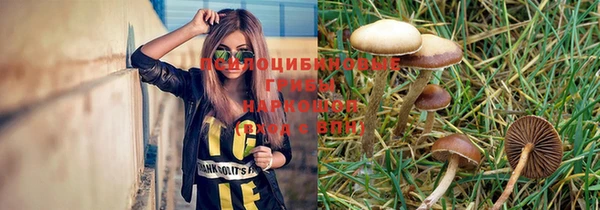прущие грибы Карталы