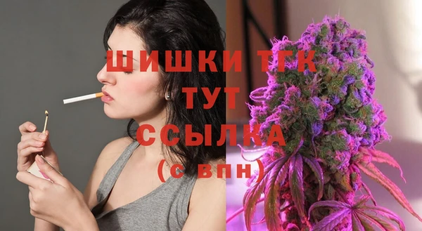 дживик Карпинск