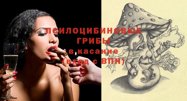 дживик Карпинск