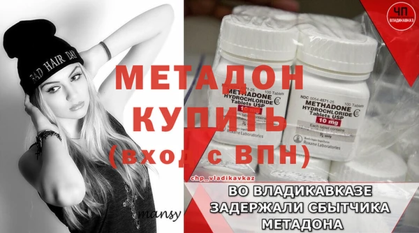 прущие грибы Карталы