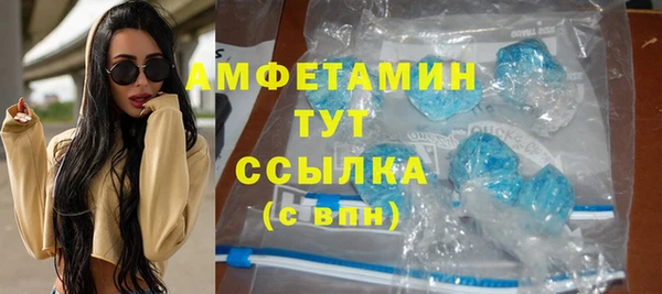 прущие грибы Карталы